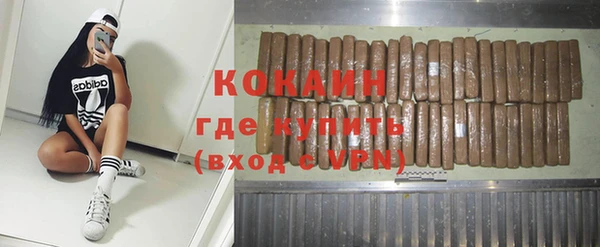мяу мяу мука Бородино