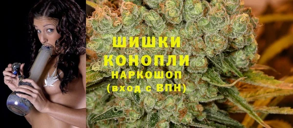 мяу мяу мука Бородино
