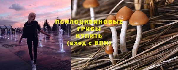 мяу мяу мука Бородино