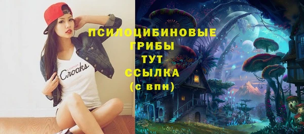 ГАЛЛЮЦИНОГЕННЫЕ ГРИБЫ Бугульма